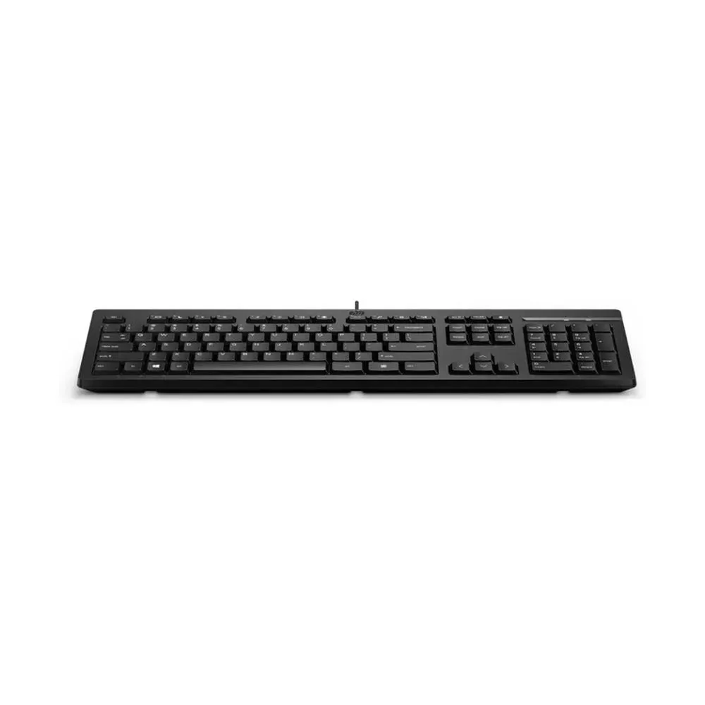 TECLADO HP 125 TPA-P001K ALAMBRICO NEGRO, vista 2
